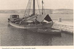 Dopeljali-su-pun-karag-fine-morske-meli